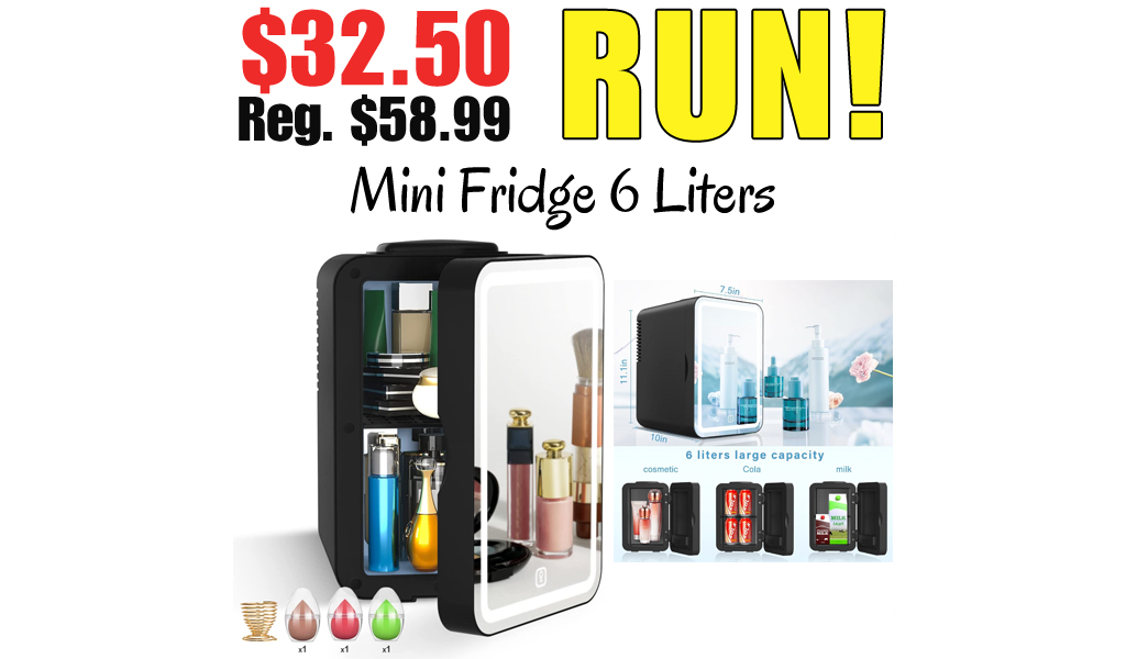 Mini Fridge 6 Liters Only $32.50 Shipped on Amazon (Regularly $58.99)