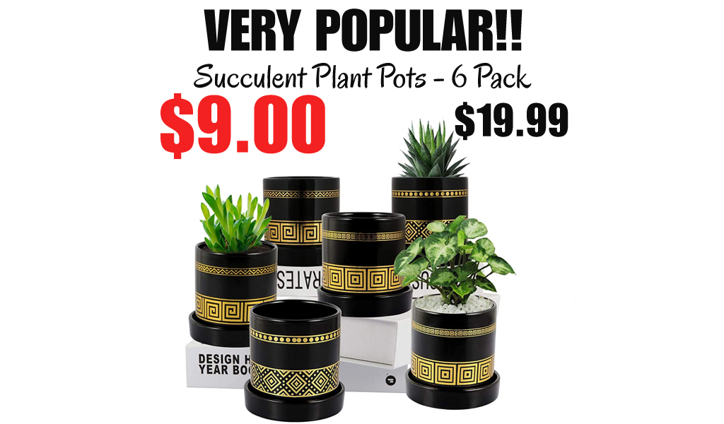 Succulent Plant Pots - 6 Pack Only $9.00 Shipped on Amazon (Regularly $19.99)