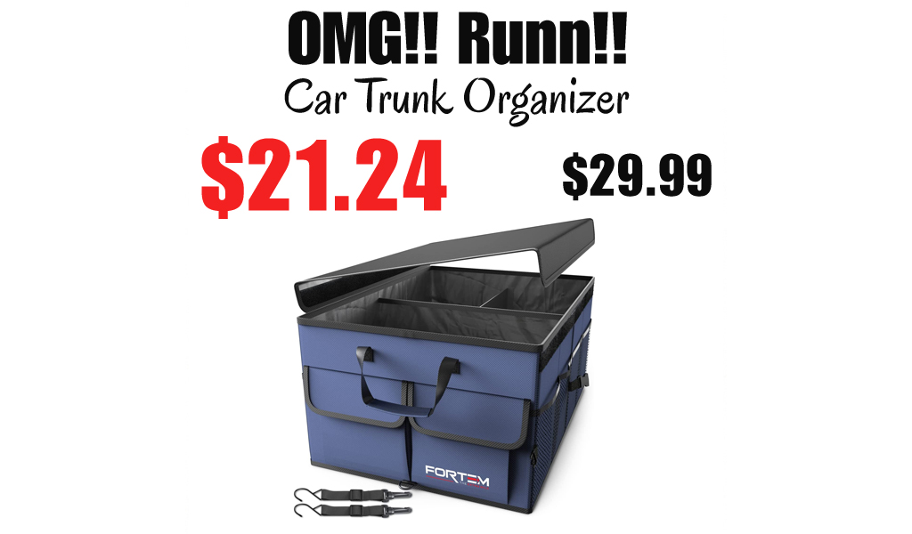 Car Trunk Organizer Only $21.24 Shipped on Amazon (Regularly $29.99)