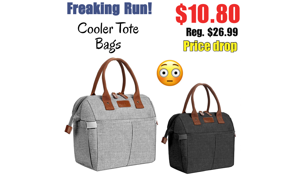 Cooler Tote Bags Only $10.80 Shipped on Amazon (Regularly $26.99)