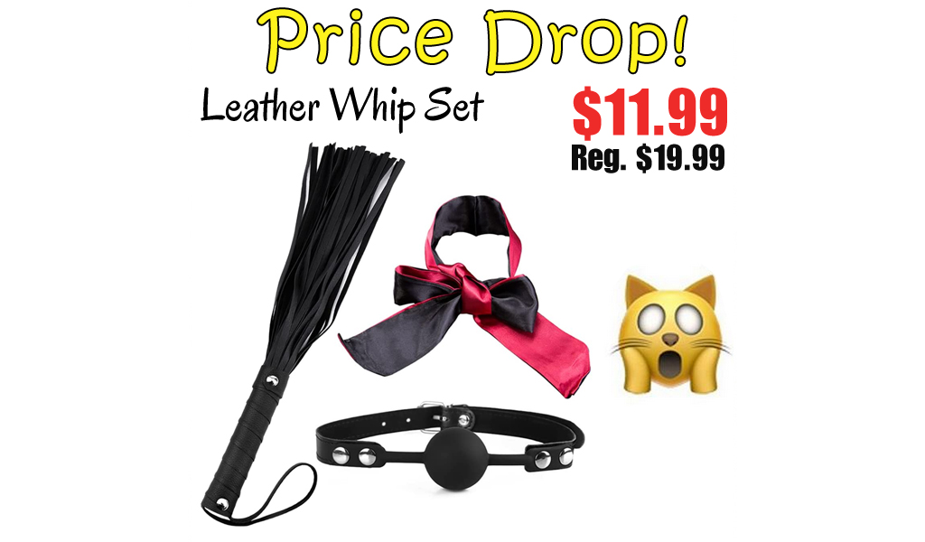Leather Whip Set Only $11.99 Shipped on Amazon (Regularly $19.99)