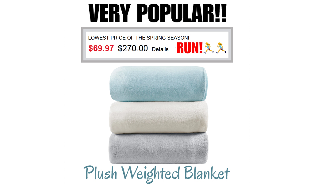 Plush Weighted Blanket Only $69.97 on Macys.com (Regularly $270.00)