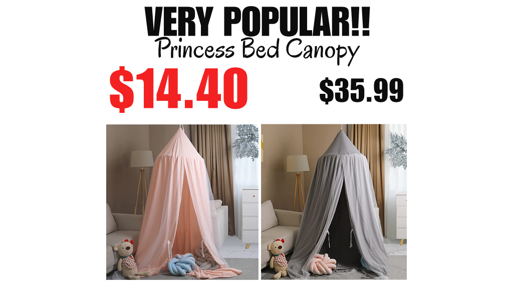 Princess Bed Canopy Only $14.40 Shipped on Amazon (Regularly $35.99)
