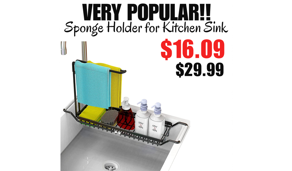 Sponge Holder for Kitchen Sink Only $16.09 Shipped on Amazon (Regularly $29.99)