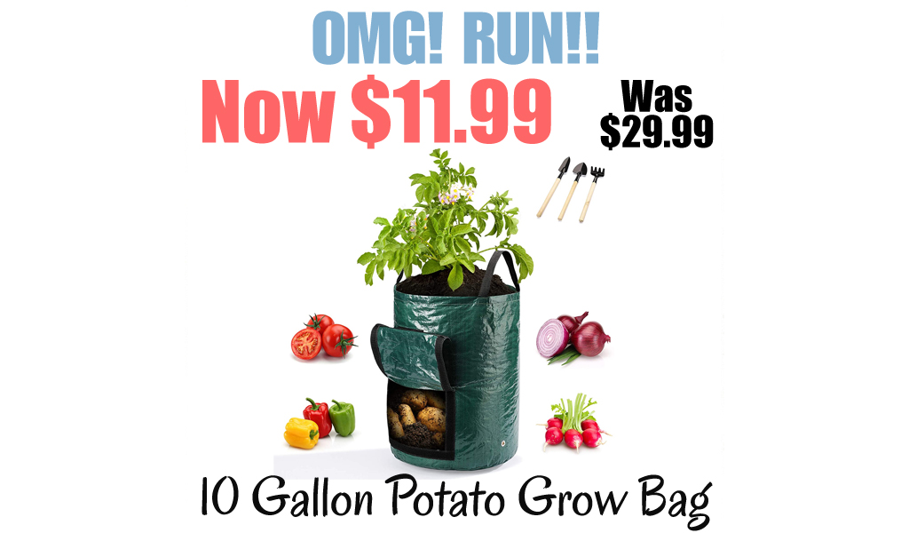 10 Gallon Potato Grow Bag Only $11.99 Shipped on Amazon (Regularly $29.99)