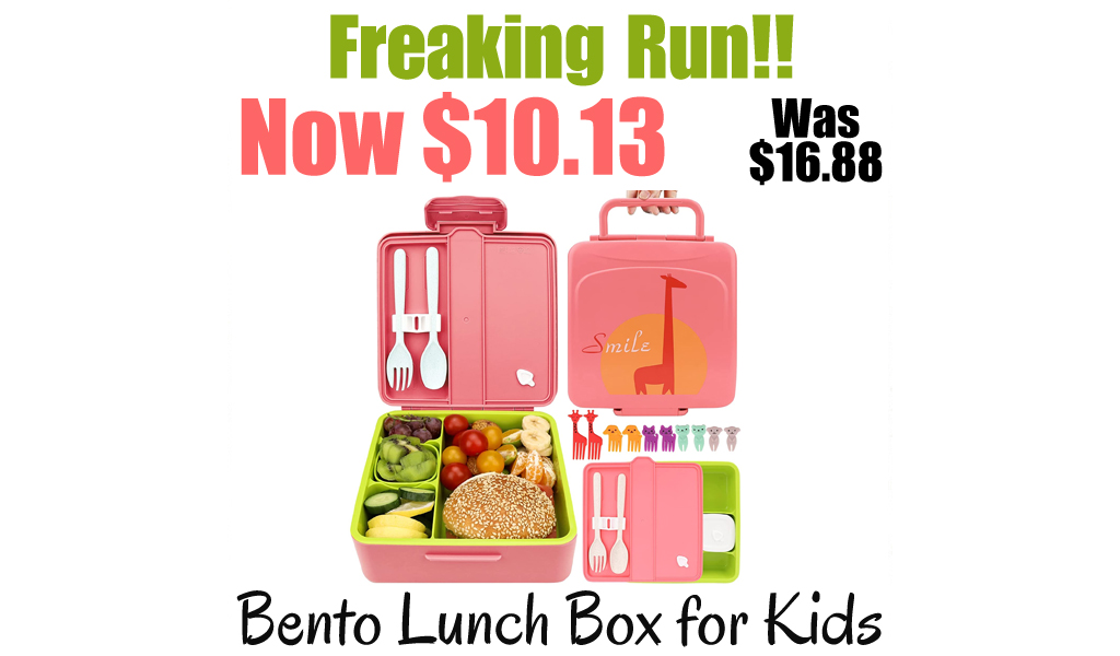 Bento Lunch Box for Kids Only $10.13 Shipped on Amazon (Regularly $16.88)
