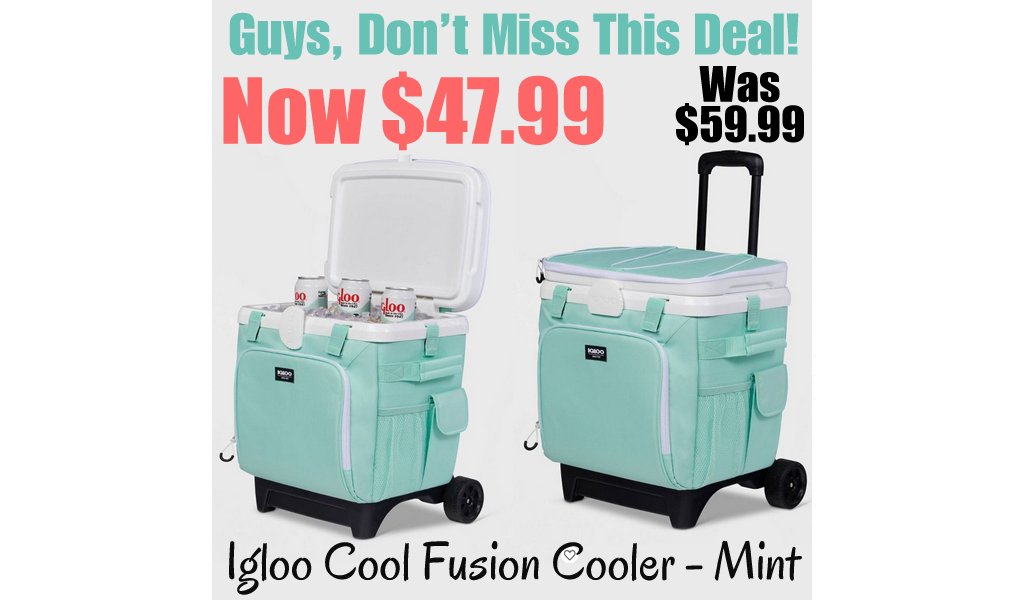 Igloo Cool Fusion Cooler - Mint Only $47.99 on target (Regularly $59.99)