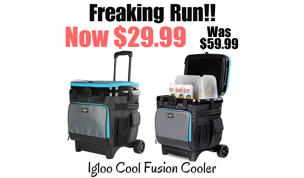 Igloo Cool Fusion Cooler Only $29.99 on target (Regularly $59.99)