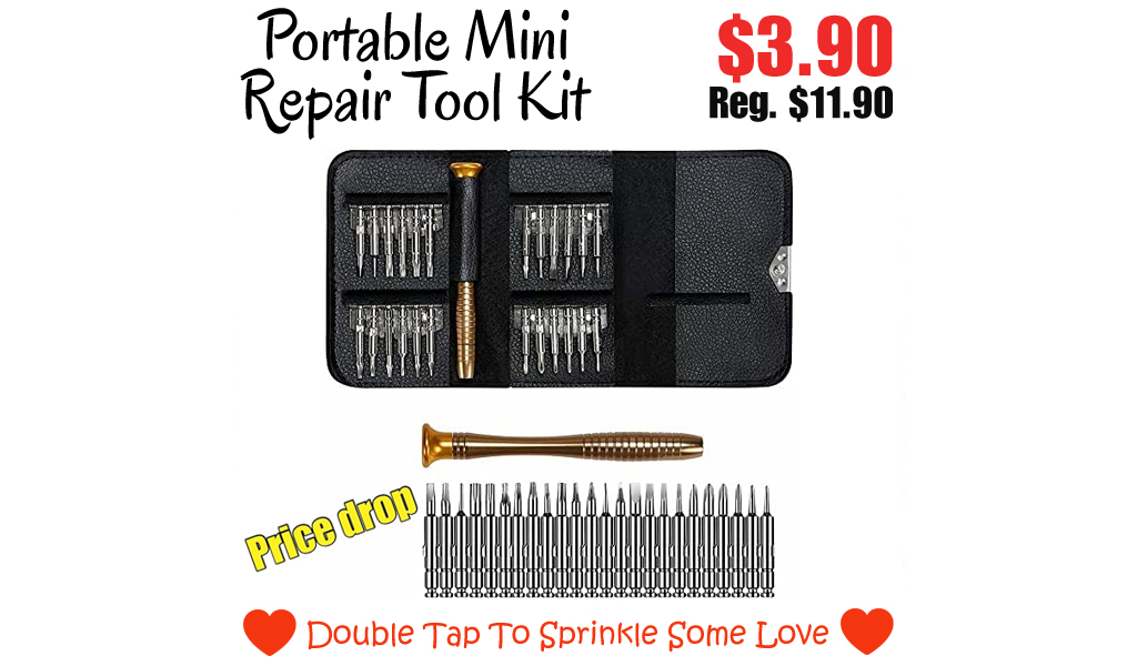 Portable Mini Repair Tool Kit Only $3.90 Shipped on Amazon (Regularly $11.90)