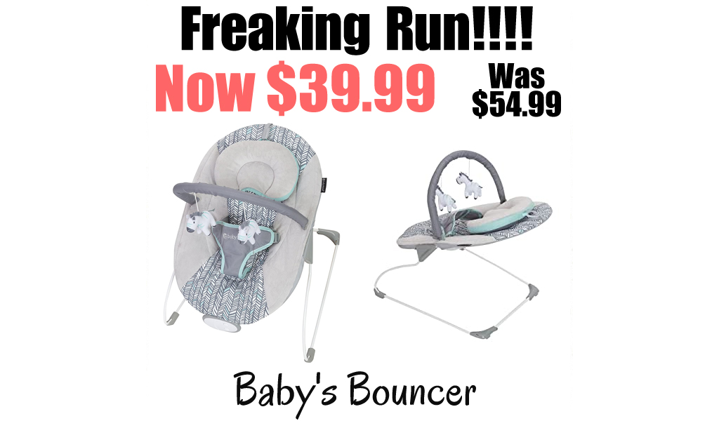Baby's Bouncer Only $39.99 on Amazon (Regularly $54.99)