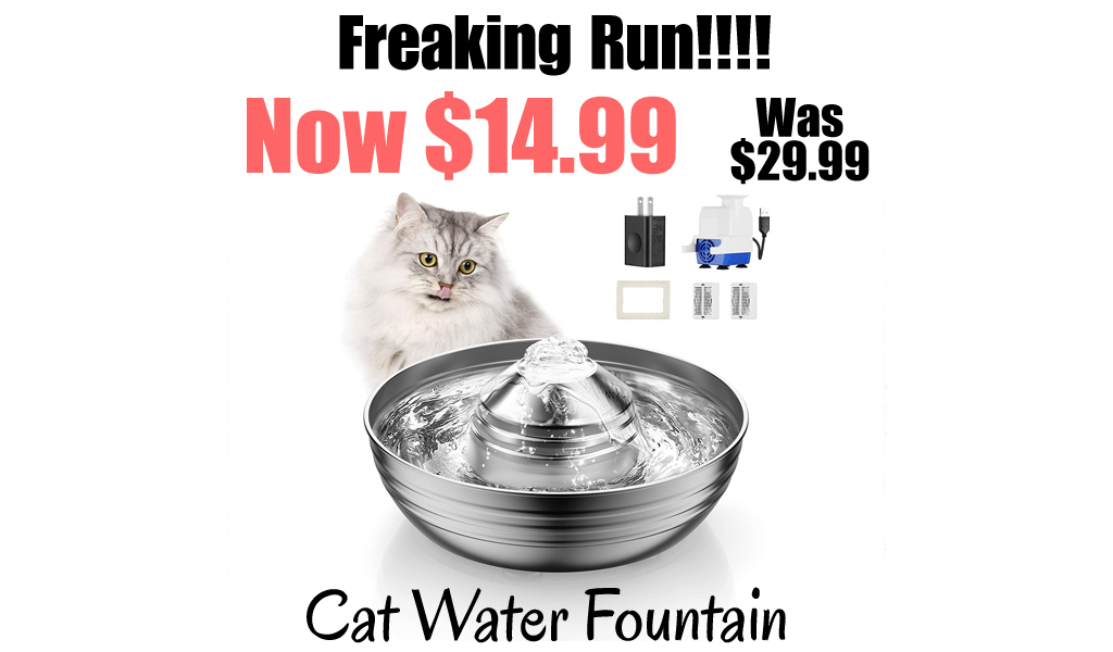 Cat Water Fountain Only $14.99 Shipped on Amazon (Regularly $29.99)