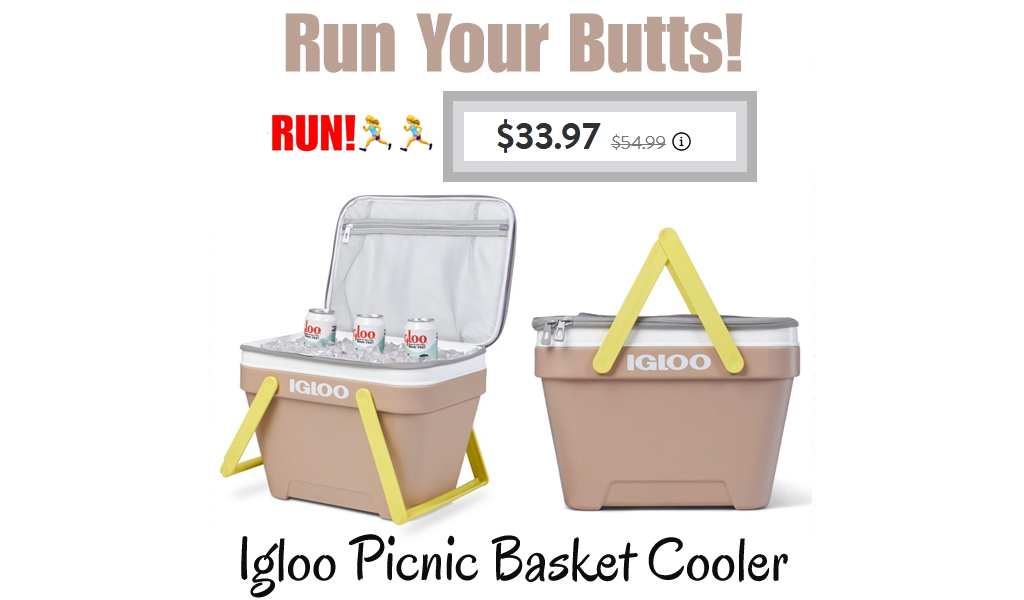 Igloo 25 qt. Picnic Basket Cooler Just $33.97 Shipped on Walmart.com (Regularly $54.99)