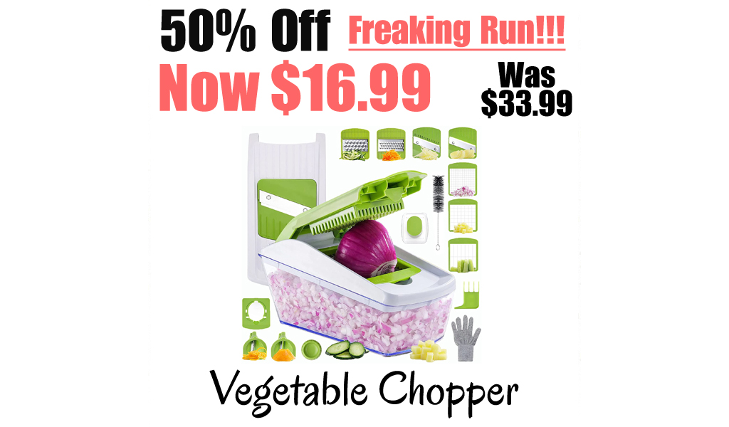 Vegetable Chopper Only $16.99 Shipped on Amazon (Regularly $33.99)
