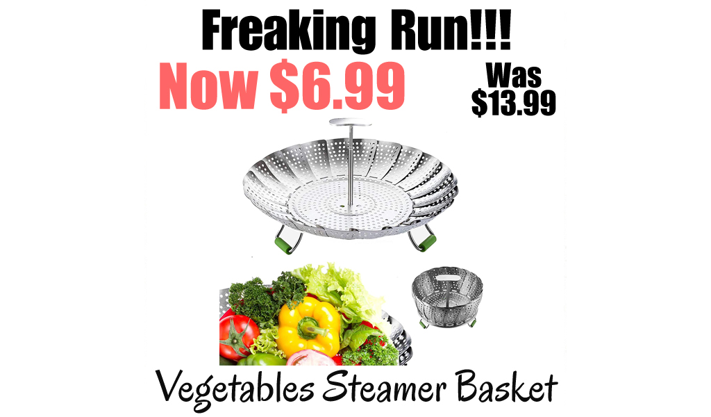 Vegetables Steamer Basket Only $6.99 Shipped on Amazon (Regularly $13.99)