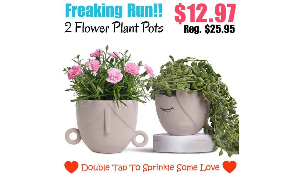 2 Flower Plant Pots Only $12.97 Shipped on Amazon (Regularly $25.95)