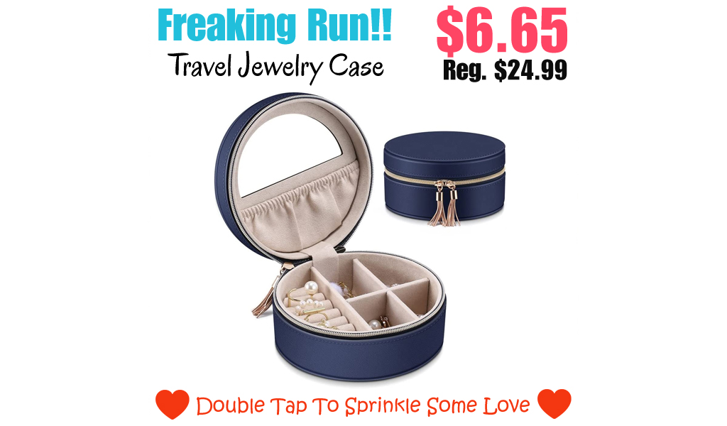 Travel Jewelry Case Only $6.65 Shipped on Amazon (Regularly $24.99)