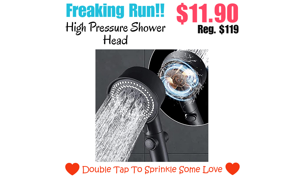 High Pressure Shower Head Only $11.90 Shipped on Amazon (Regularly $119)