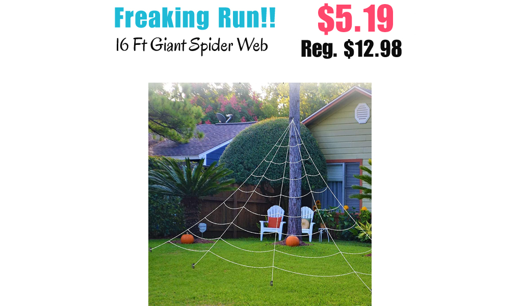 16 Ft Giant Spider Web Only $5.19 Shipped on Amazon (Regularly $12.98)