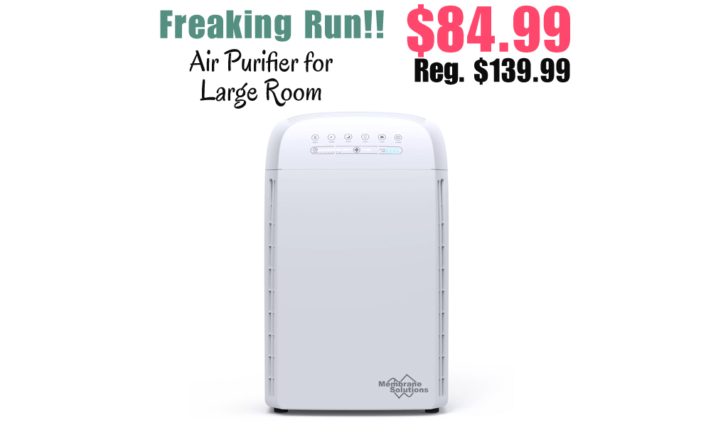 Air Purifier for Large Room Only $84.99 Shipped on Walmart.com (Regularly $139.99)