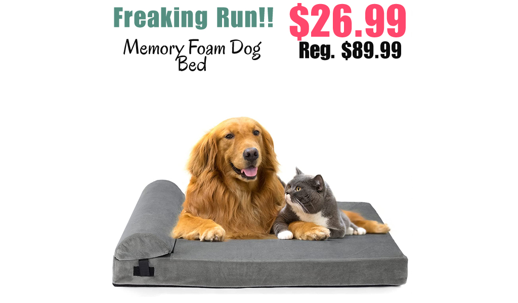 Memory Foam Dog Bed Only $26.99 Shipped on Amazon (Regularly $89.99)