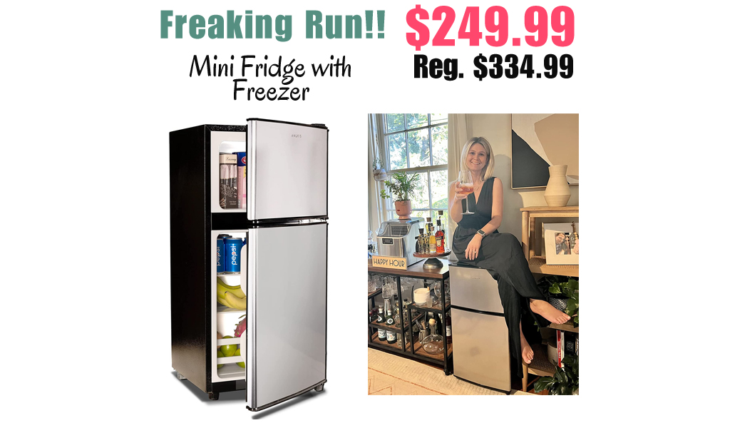 Mini Fridge with Freezer Only $249.99 Shipped on Amazon (Regularly $334.99)