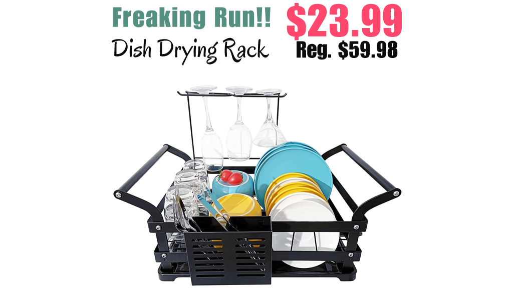 Dish Drying Rack Only $23.99 Shipped on Amazon (Regularly $59.98)