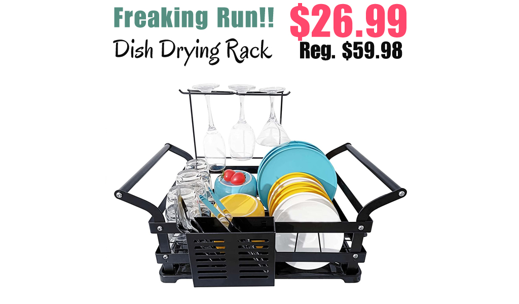 Dish Drying Rack Only $26.99 Shipped on Amazon (Regularly $59.98)