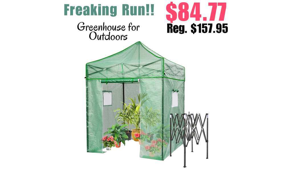 Greenhouse for Outdoors Only $84.77 Shipped on Amazon (Regularly $157.95)