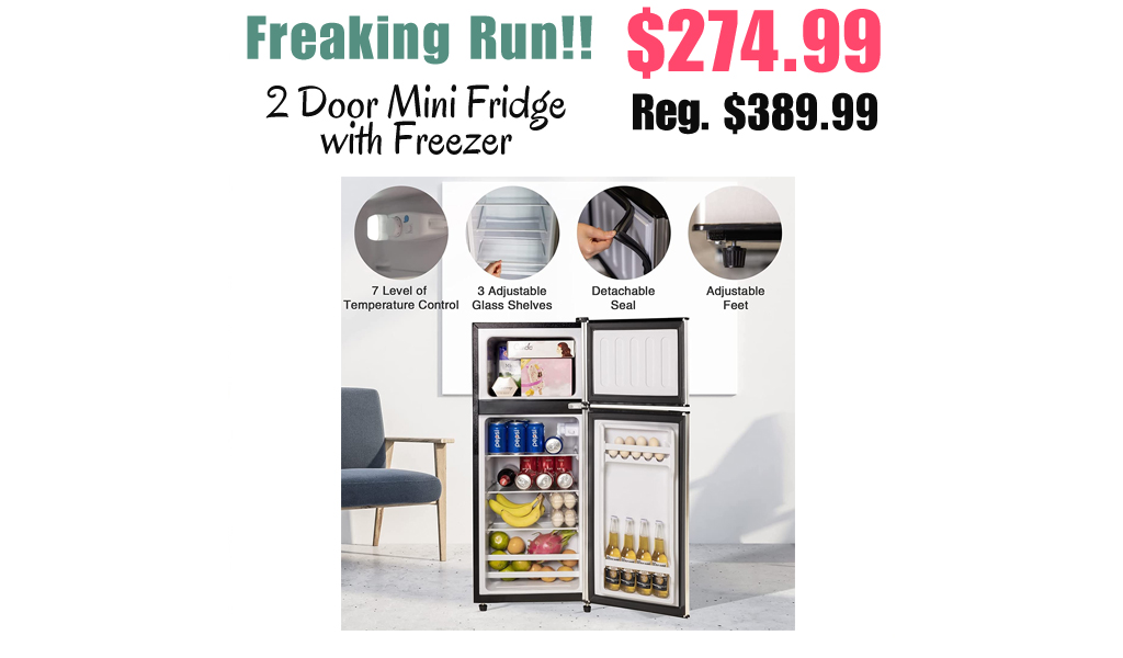 2 Door Mini Fridge with Freezer Only $274.99 Shipped on Amazon (Regularly $389.99)