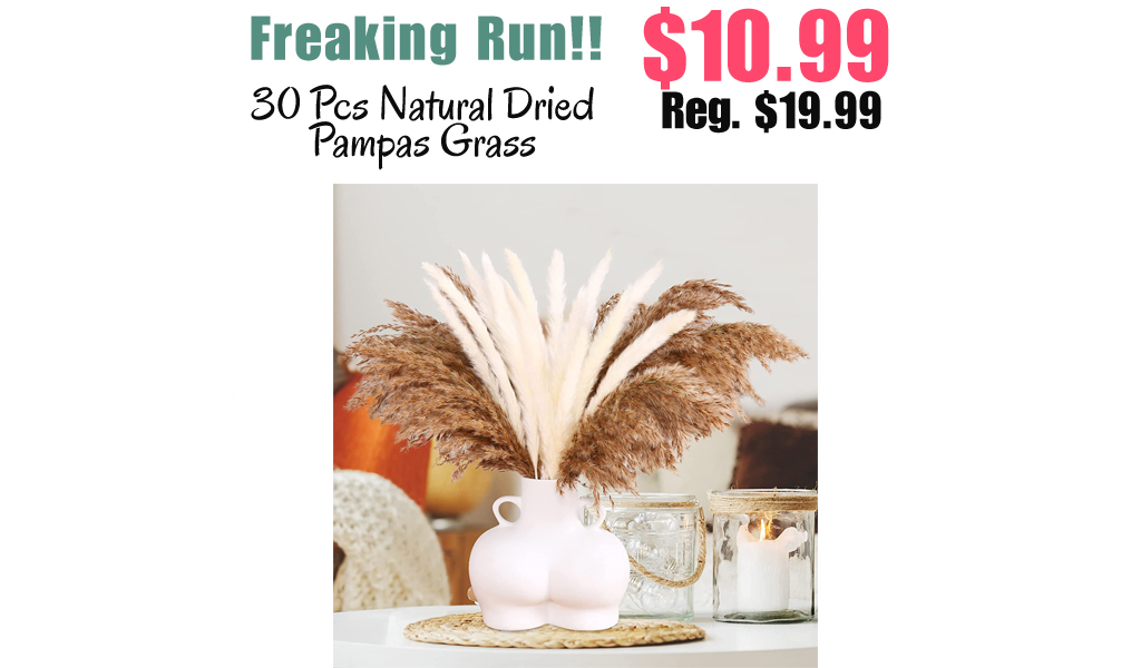 30 Pcs Natural Dried Pampas Grass Only $10.99 Shipped on Amazon (Regularly $19.99)