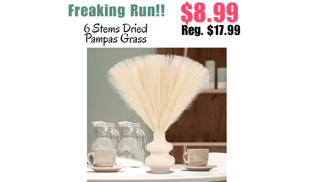 6 Stems Dried Pampas Grass Only $8.99 Shipped on Amazon (Regularly $17.99)