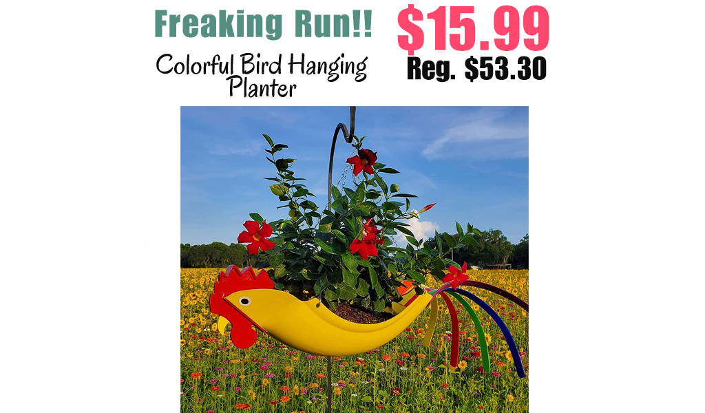 Colorful Bird Hanging Planter Only $15.99 Shipped on Amazon (Regularly $53.30)