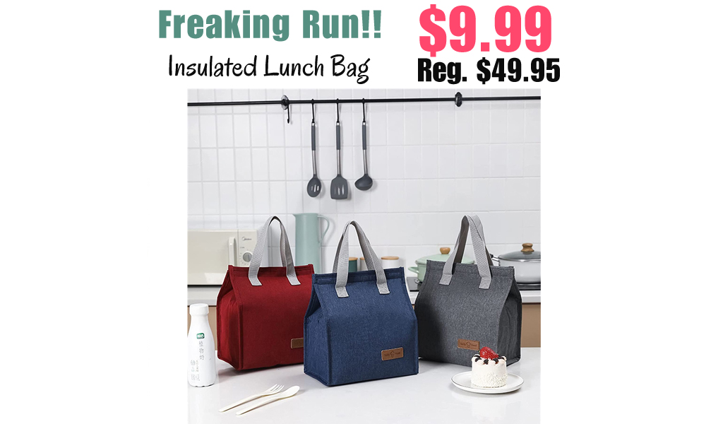 Insulated Lunch Bag Only $9.99 Shipped on Amazon (Regularly $49.95)