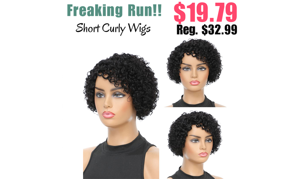 Short Curly Wigs Only $19.79 Shipped on Amazon (Regularly $32.99)