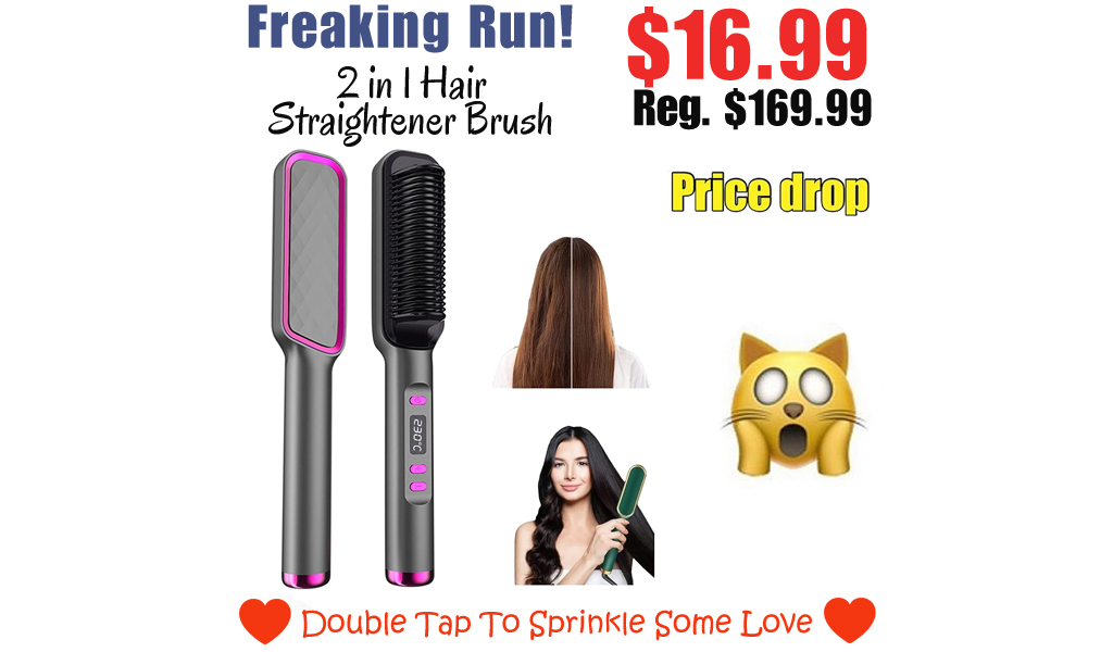 2 in 1 Hair Straightener Brush Only $16.99 Shipped on Amazon (Regularly $169.99)
