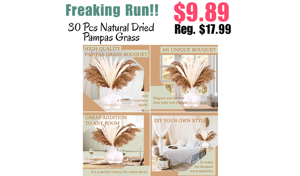 30 Pcs Natural Dried Pampas Grass Only $9.89 Shipped on Amazon (Regularly $17.99)