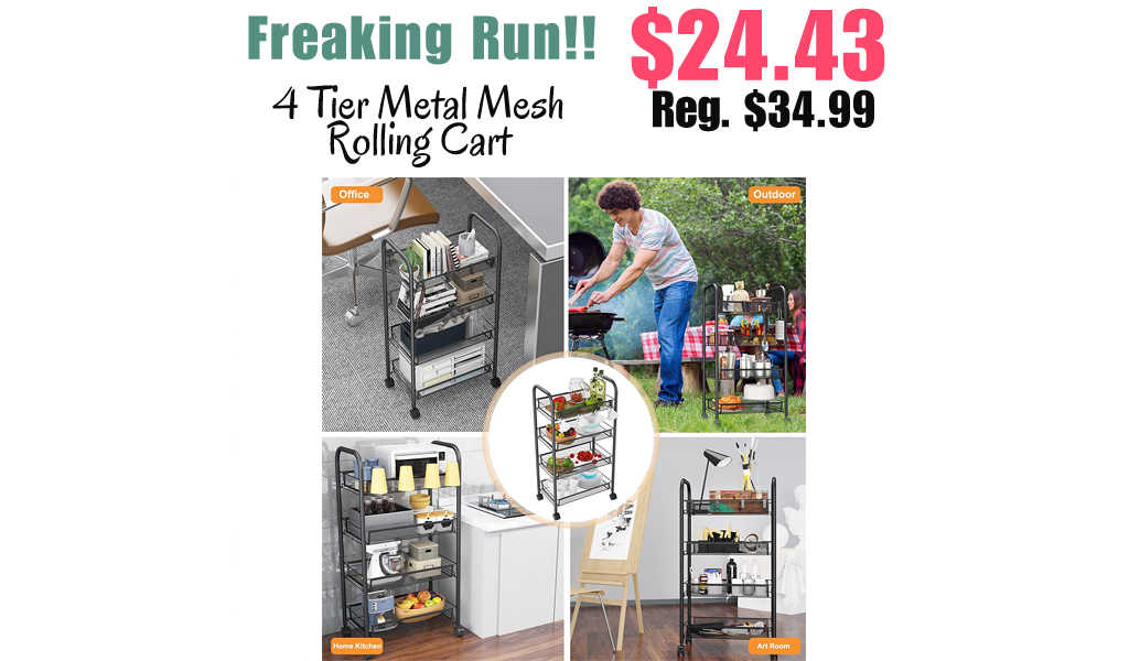 4 Tier Metal Mesh Rolling Cart Only $24.43 Shipped on Amazon (Regularly $34.99)