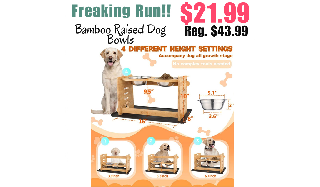 Bamboo Raised Dog Bowls Only $21.99 Shipped on Amazon (Regularly $43.99)