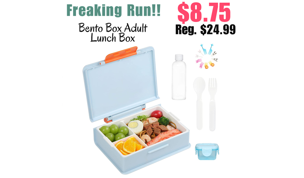Bento Box Adult Lunch Box Only $8.75 Shipped on Amazon (Regularly $24.99)