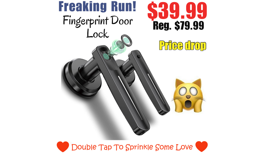 Fingerprint Door Lock Only $39.99 Shipped on Amazon (Regularly $79.99)
