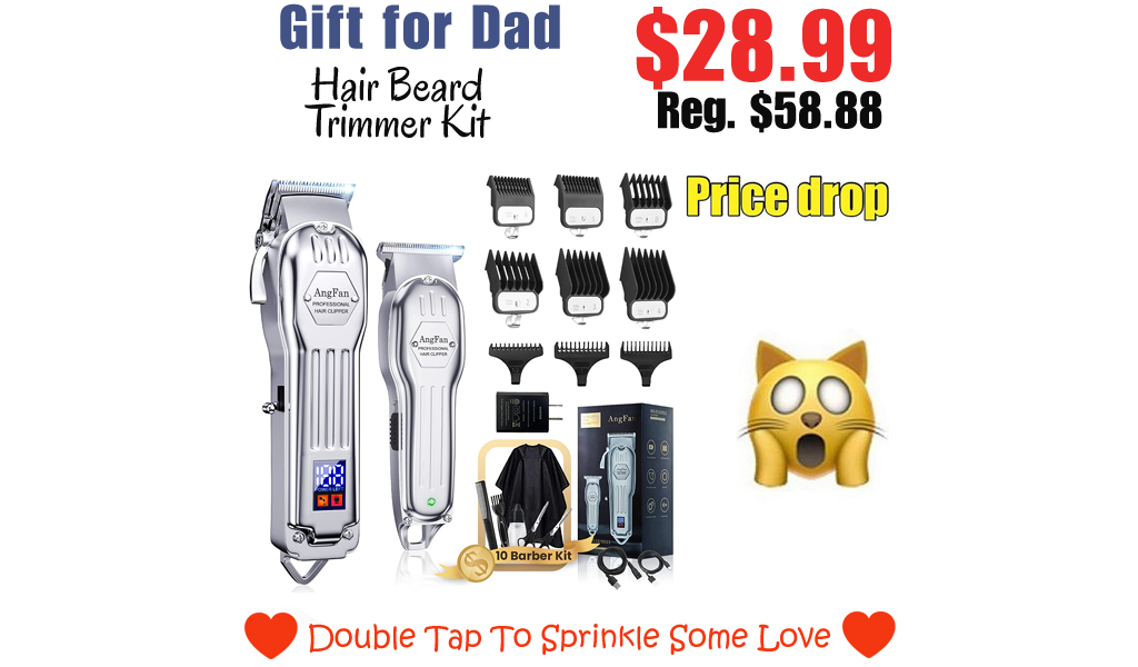Hair Beard Trimmer Kit Only $28.99 Shipped on Amazon (Regularly $58.88)