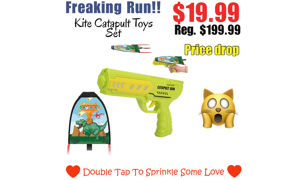 Kite Catapult Toys Set Only $19.99 Shipped on Amazon (Regularly $199.99)