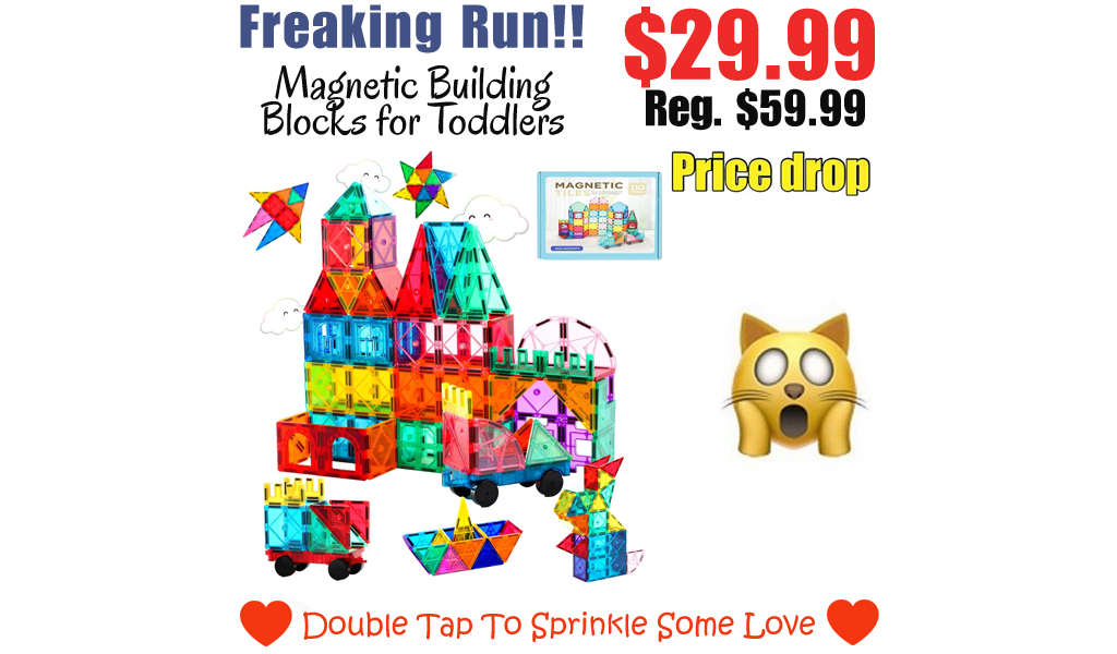 Magnetic Building Blocks for Toddlers Only $29.99 Shipped on Amazon (Regularly $59.99)