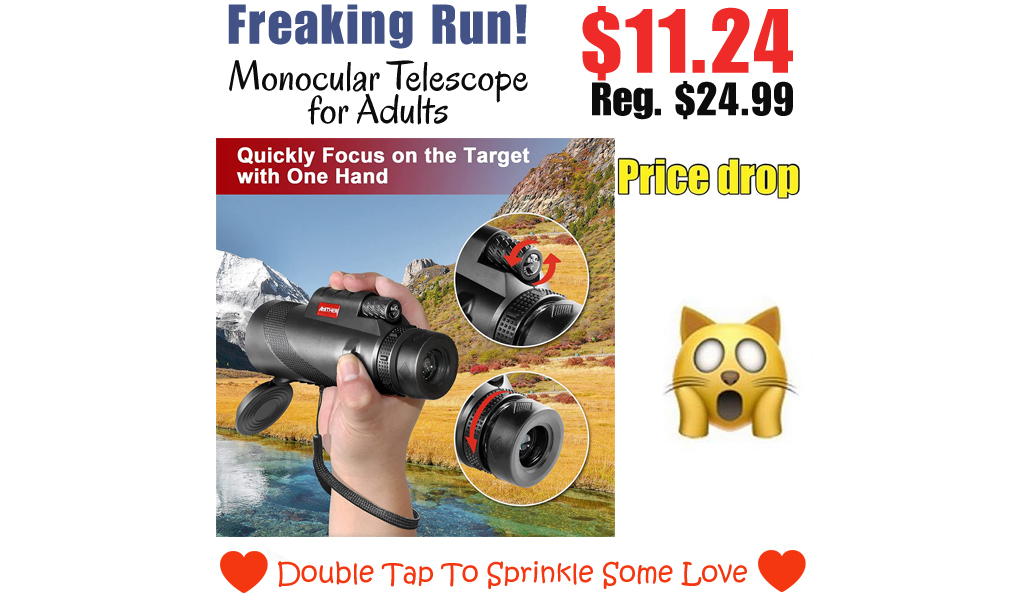 Monocular Telescope for Adults Only $11.24 Shipped on Amazon (Regularly $24.99)