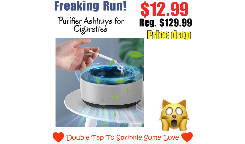 Purifier Ashtrays for Cigarettes Only $12.99 Shipped on Amazon (Regularly $129.99)