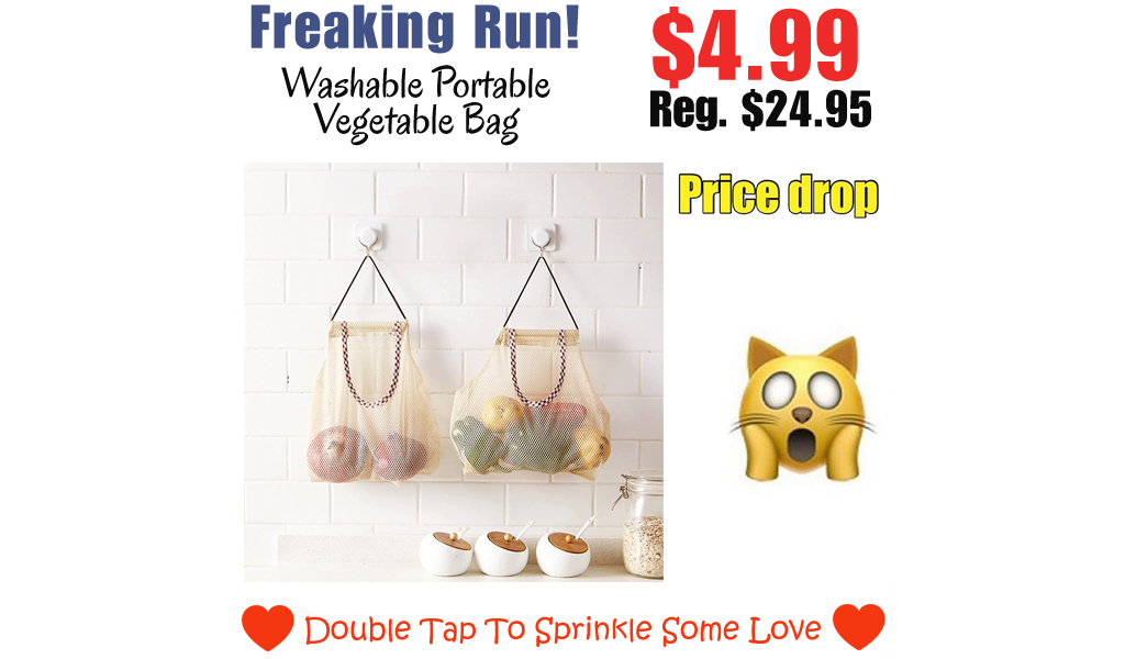 Washable Portable Vegetable Bag Only $4.99 Shipped on Amazon (Regularly $24.95)