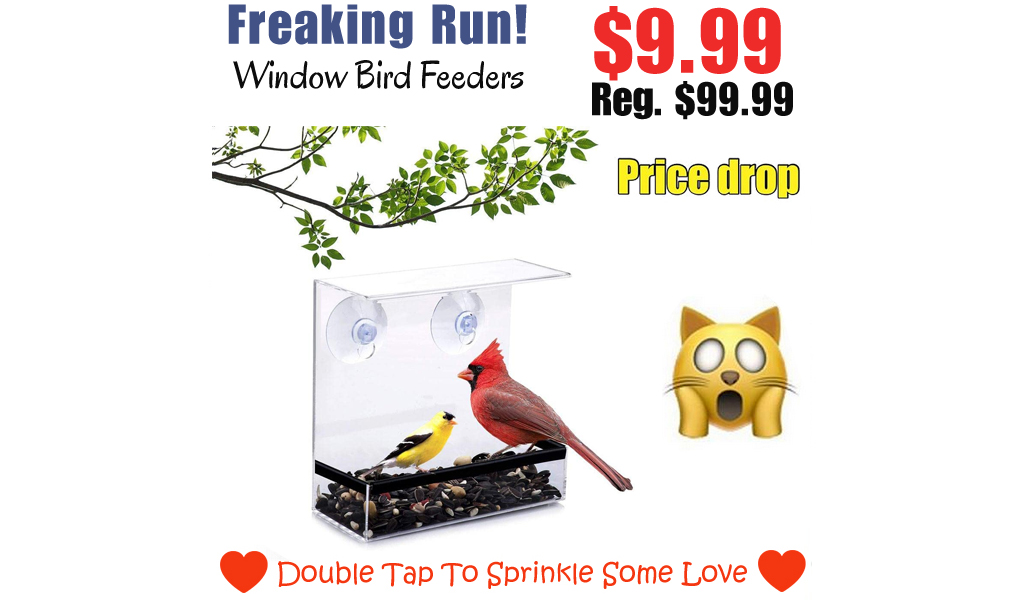Window Bird Feeders Only $9.99 Shipped on Amazon (Regularly $99.99)