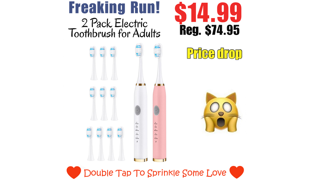 2 Pack Electric Toothbrush for Adults Only $14.99 Shipped on Amazon (Regularly $74.95)