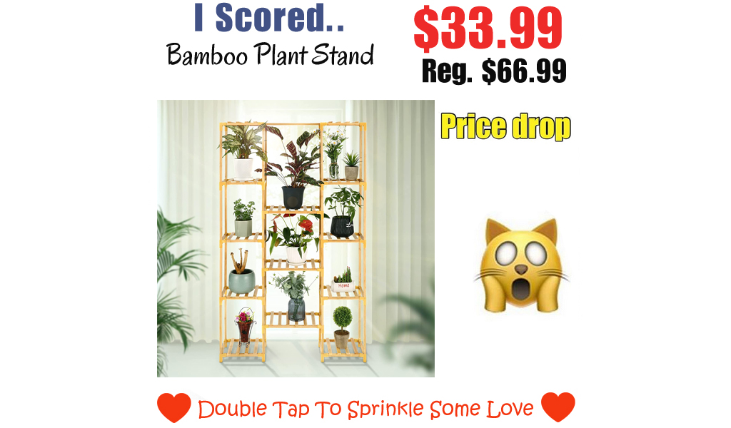 Bamboo Plant Stand Only $33.99 Shipped on Amazon (Regularly $66.99)