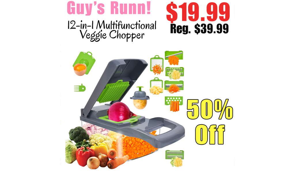 12-in-1 Multifunctional Veggie Chopper Only $19.99 Shipped on Amazon (Regularly $39.99)